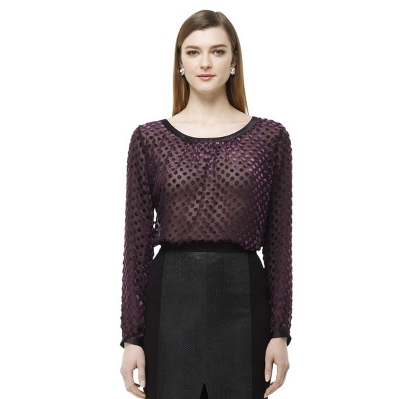 Club Monaco Sheer Blouse w/ Velvet Polka Dots - Picture 1 of 3